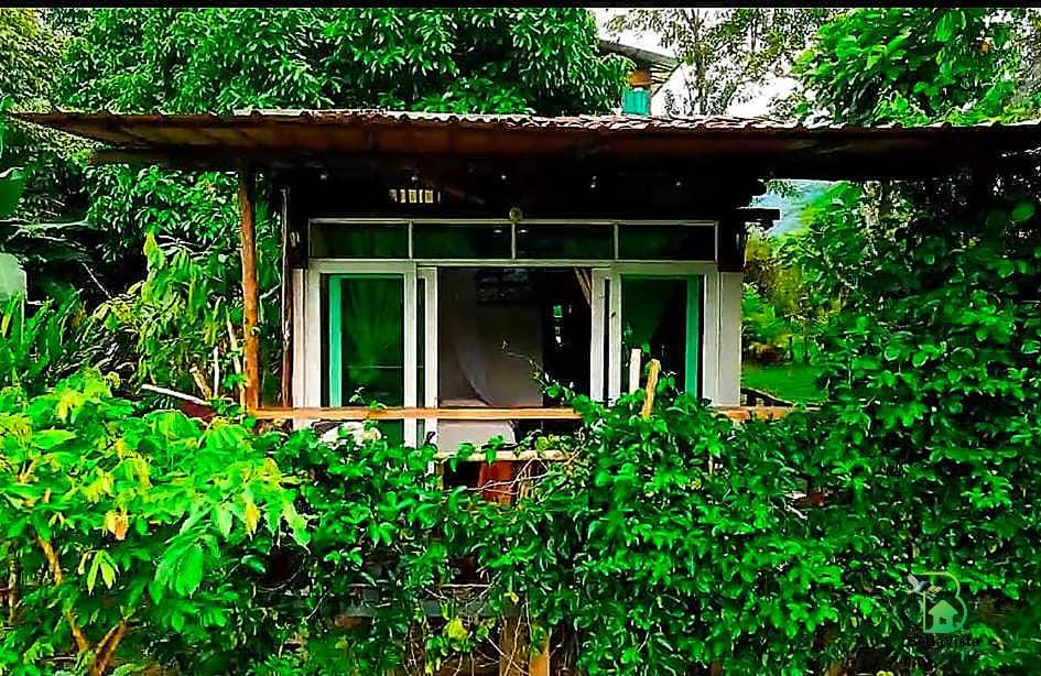 Mocoa Alojamiento Rural Bellavista Experiences المظهر الخارجي الصورة